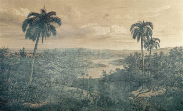 Peinture murale Gravure ancienne