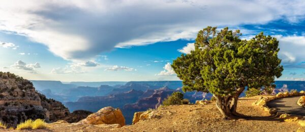 Poster XXL Grand Canyon