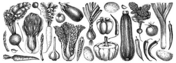 Peinture murale Dessin Légumes