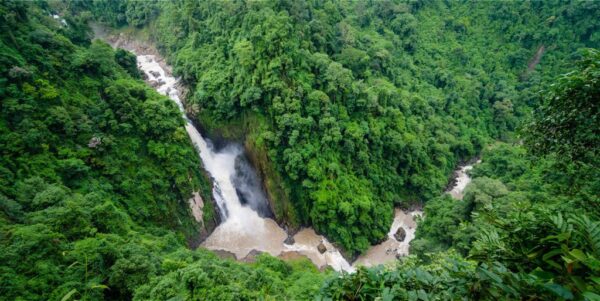 Peinture murale Cascade verte