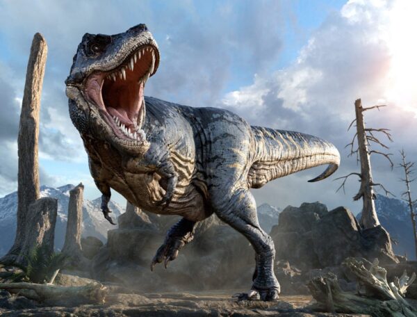 Papier peint T-Rex en 3D