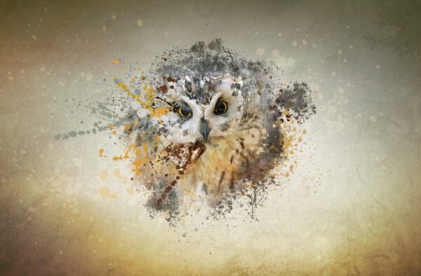 Peinture murale Regard de hibou