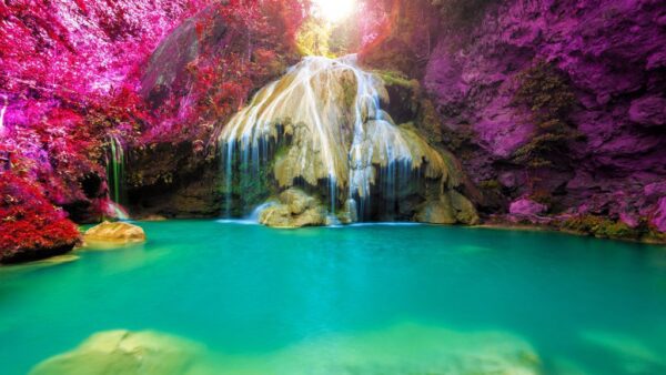 Peinture murale Cascade dans les Fleurs