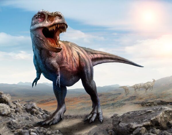 Peinture murale Dinosaure solitaire
