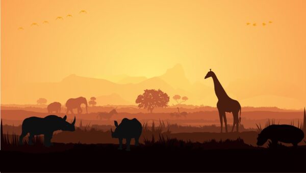 Poster XXL Afrique Sauvage