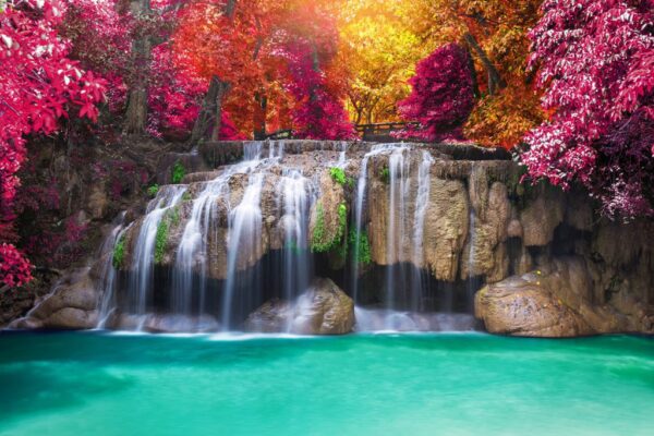 Peinture murale Chutes d'eau dans la jungle