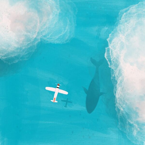 Poster XXL Petit avion
