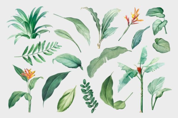 Peinture murale Feuilles vertes