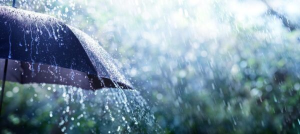 Peinture murale Parapluie sous la pluie