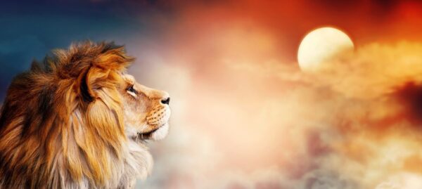Poster XXL Le Roi Lion