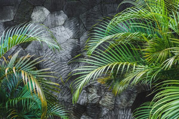 Peinture murale Vert en Gris