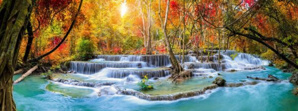 Poster XXL Aux couleurs d'automne
