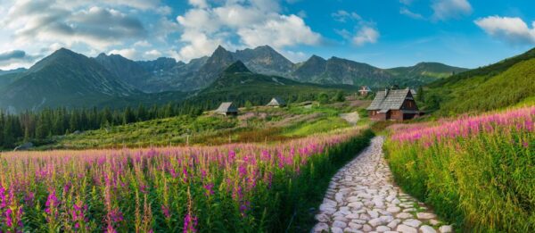 Poster XXL Prairie des Tatras