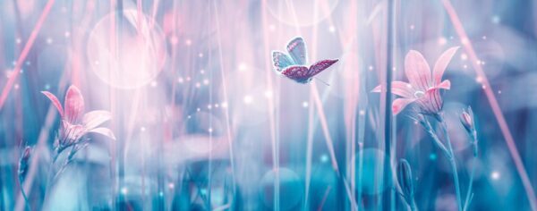Peinture murale Papillon lumineux