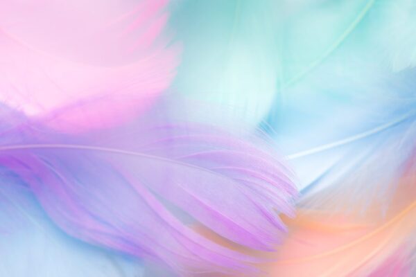 Peinture murale Plume pastel