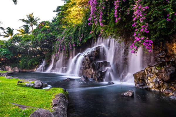 Peinture murale Cascade Hawaïenne