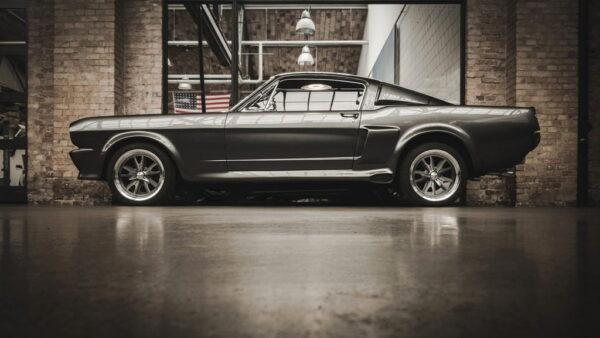 Papier peint Mustang GT 500