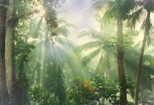 Poster XXL Le Soleil dans la Jungle