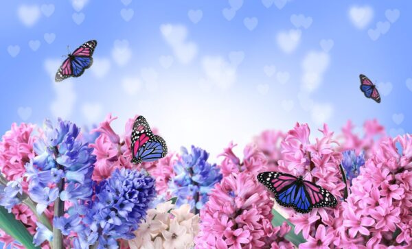 Peinture murale Jacinthes et papillons