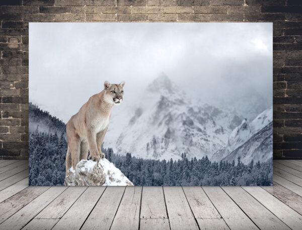 Image de Puma dans les montagnes