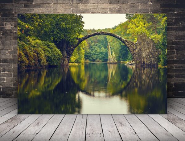 Une image d'une rivière au milieu de la forêt