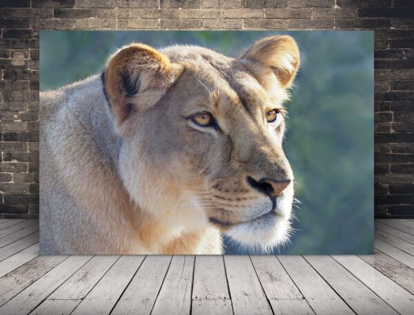 Une image d'un portrait d'un lion