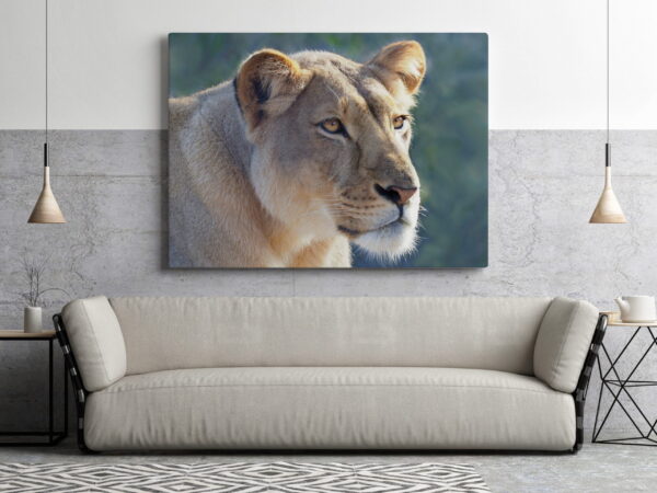 Une image d'un portrait d'un lion – Image 3
