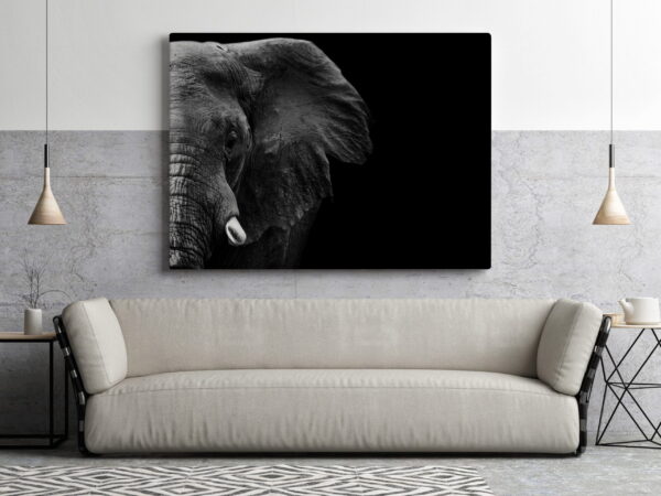 Une image de profil d'éléphant – Image 3