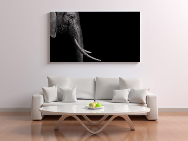 Image de profil droit d'un éléphant – Image 3