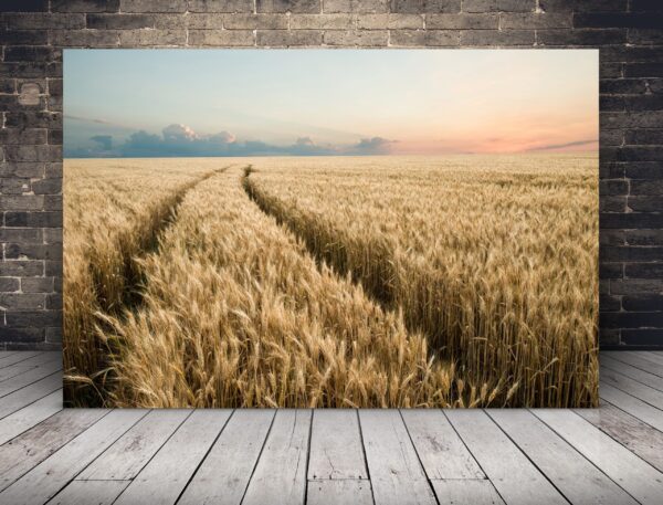 Une image d'un chemin dans le grain