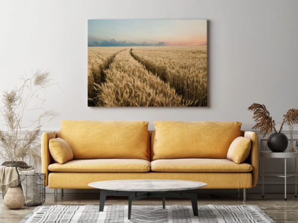 Une image d'un chemin dans le grain – Image 3