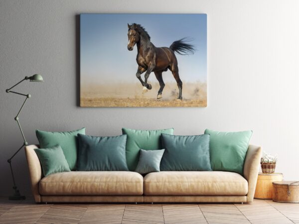 Une image d'un cheval sur le paddock – Image 3