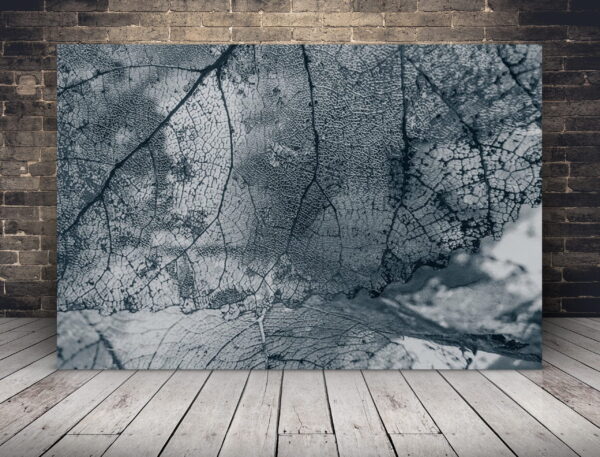 Image de la texture des feuilles