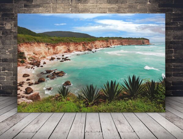 Image de l'océan paradisiaque