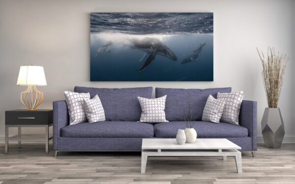 Image du monde sous-marin – Image 3