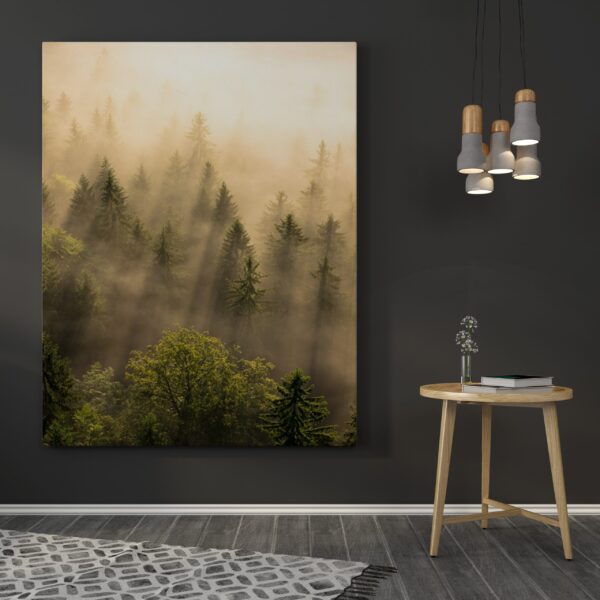 Image de la forêt – Image 3
