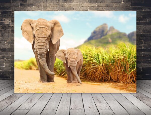 Image d'éléphants qui marchent