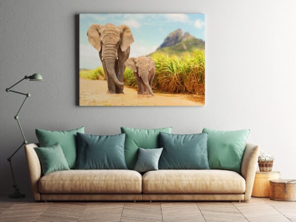 Image d'éléphants qui marchent – Image 3