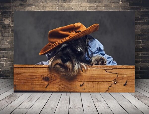 Une image d'un chien dans une casquette