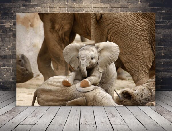 Une image d'un petit éléphant