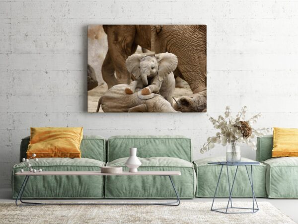 Une image d'un petit éléphant – Image 3