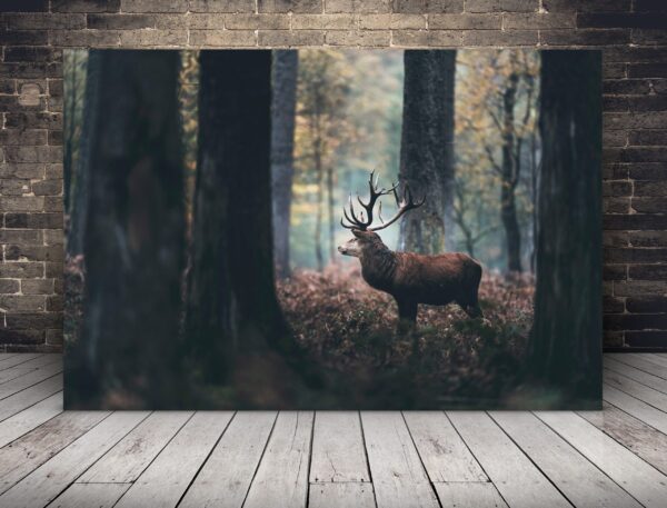 Une image d'un cerf parmi les arbres