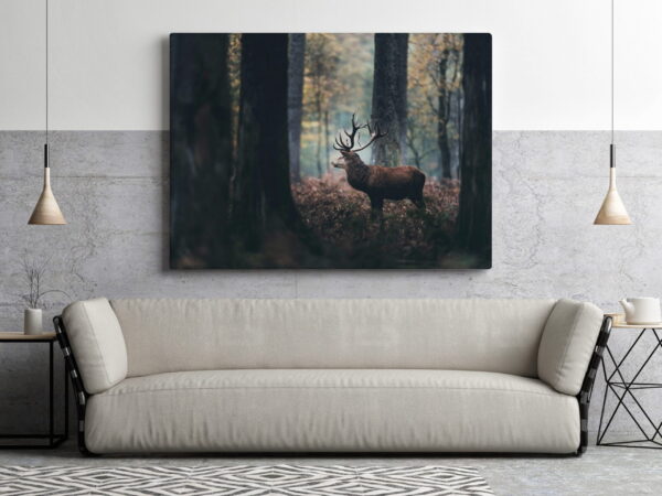 Une image d'un cerf parmi les arbres – Image 3