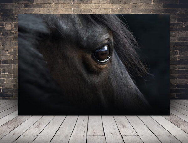 Image d'oeil de cheval
