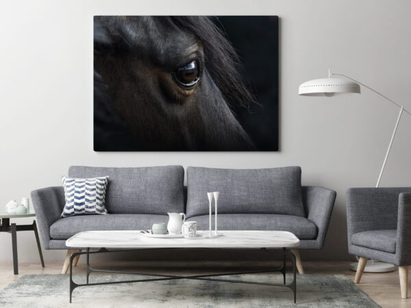 Image d'oeil de cheval – Image 3