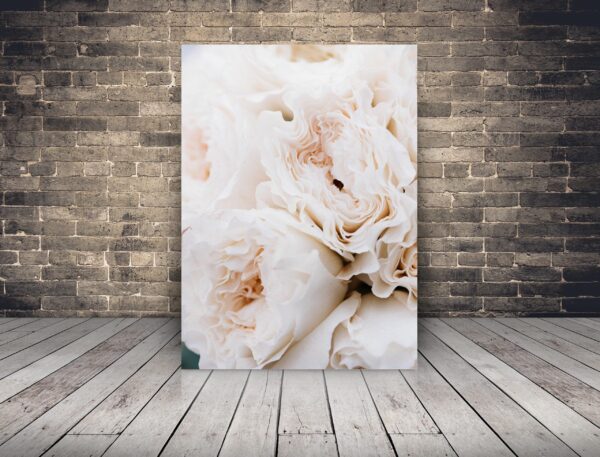 Image de bouquet lumineux
