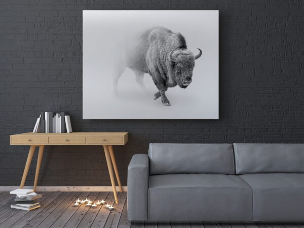 Image d'un bison dans la brume – Image 3