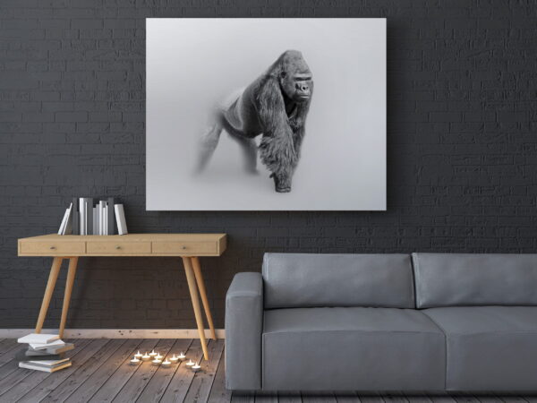 Une image d'un gorille dans le brouillard – Image 3