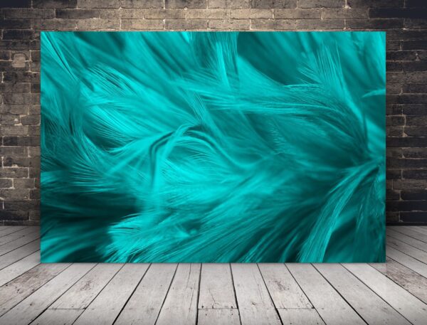 Image de plumes bleues