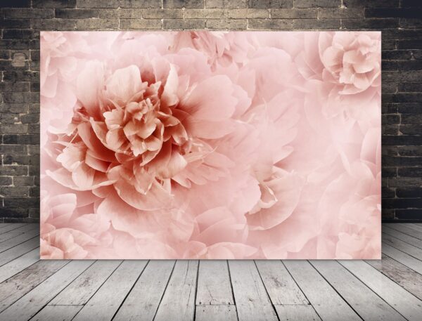 Une image de roses pivoine